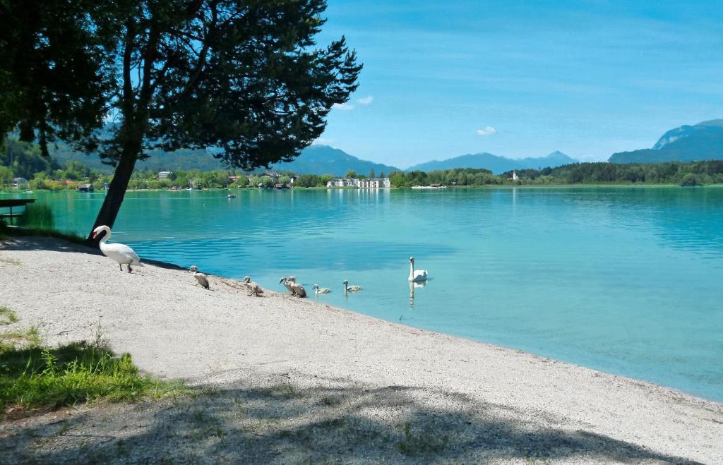 Pension Stissen Haus Am See Фаак ам Зее Екстериор снимка